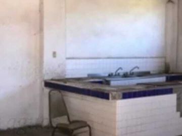 Excelente terreno con arboles frutales, pozo y servicios, magnífico precio
