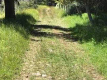 Excelente terreno con arboles frutales, pozo y servicios, magnífico precio