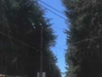 Excelente terreno con arboles frutales, pozo y servicios, magnífico precio