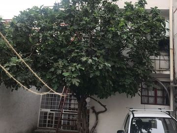 CASA EN VENTA EL ROSAL MAGDALENA CONTRERAS