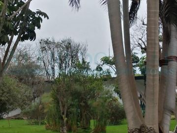 Terrenos Industriales Venta CAR. PANAMERICANA NORTE  - CHANCAY