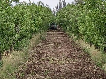 Finca 16 ha - Las Paredes- San Rafael