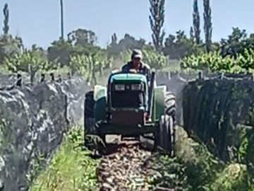 Finca 16 ha - Las Paredes- San Rafael