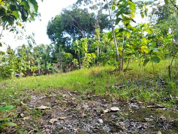 tanah pekarangan di banyuroto nanggulan kulon progo