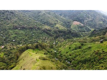 VENTA DE FINCA EN PIJAO QUINDIO . 82 cuadras