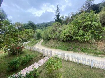 VENTA DE FINCA EN PIJAO QUINDIO . 82 cuadras