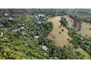 VENTA DE FINCA EN PIJAO QUINDIO . 82 cuadras