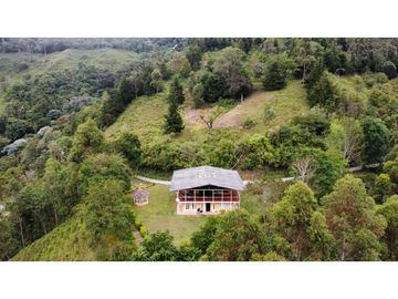 VENTA DE FINCA EN PIJAO QUINDIO . 82 cuadras