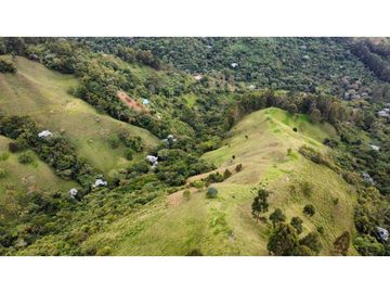 VENTA DE FINCA EN PIJAO QUINDIO . 82 cuadras