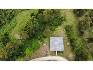VENTA DE FINCA EN PIJAO QUINDIO . 82 cuadras