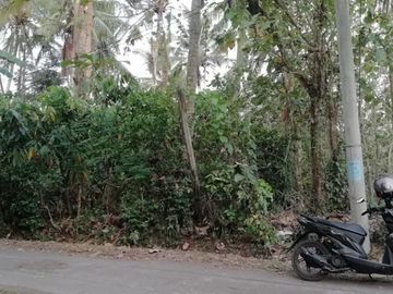 Tanah Zona Kuning view sungai dekat Kelecung Tabanan Bali