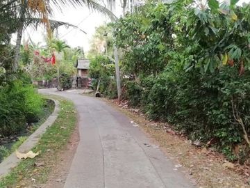 Tanah Zona Kuning view sungai dekat Kelecung Tabanan Bali