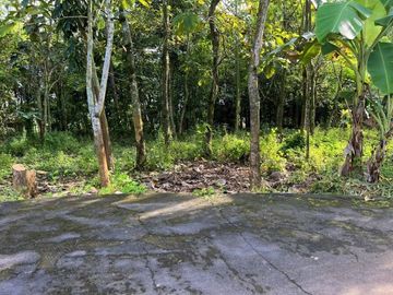 Tanah Strategis dibangun Villa Kerjo Karanganyar