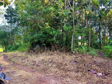 Tanah Strategis dibangun Villa Kerjo Karanganyar