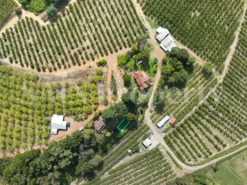 Parcela Productiva En Quillón Con Casas, Cultivos Y Agua