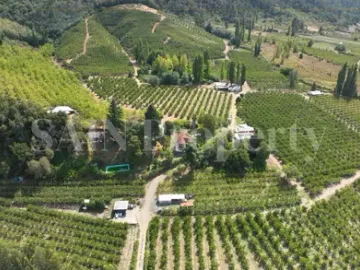 Parcela Productiva En Quillón Con Casas, Cultivos Y Agua