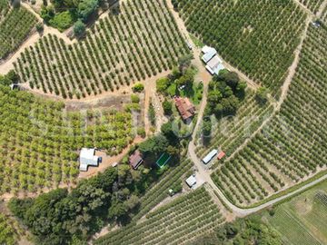 Parcela Productiva En Quillón Con Casas, Cultivos Y Agua