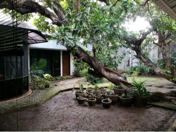 Rumah Citandui Tegalsari Dkt Darmo Diponegoro Surabaya Pusat