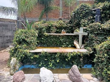 Quinta en VENTA en León Gto en el fraccionamiento Lomas de Santa Rita