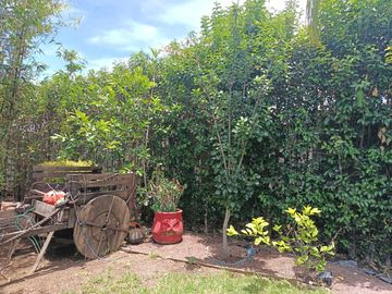 Quinta en VENTA en León Gto en el fraccionamiento Lomas de Santa Rita