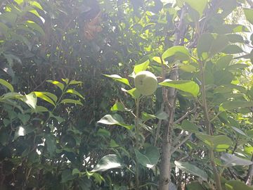 Quinta en VENTA en León Gto en el fraccionamiento Lomas de Santa Rita