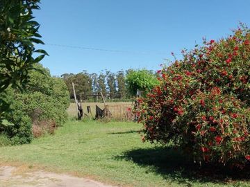 Casa quinta sobre lote de 10.000m2 en Necochea