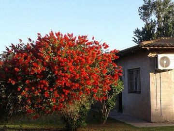 Casa quinta sobre lote de 10.000m2 en Necochea