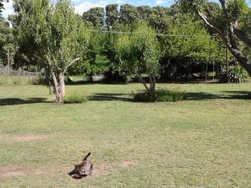 Casa quinta sobre lote de 10.000m2 en Necochea