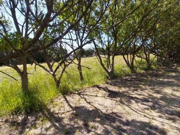 Casa quinta sobre lote de 10.000m2 en Necochea