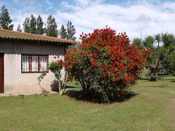 Casa quinta sobre lote de 10.000m2 en Necochea