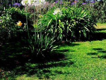 Casa quinta sobre lote de 10.000m2 en Necochea