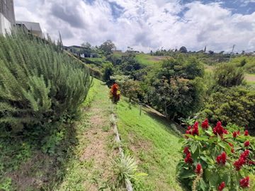 VENTA de CASAS en PEREIRA