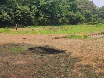rumah/kavling murah dibojong gede hanya 126jutaan shm sudah pecah