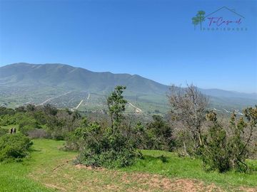 Hermosa Parcela 20 hectáreas en venta Los Hornos - Huaquén