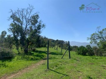 Hermosa Parcela 20 hectáreas en venta Los Hornos - Huaquén