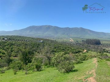 Hermosa Parcela 20 hectáreas en venta Los Hornos - Huaquén