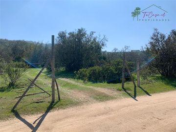 Hermosa Parcela 20 hectáreas en venta Los Hornos - Huaquén