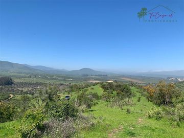 Hermosa Parcela 20 hectáreas en venta Los Hornos - Huaquén