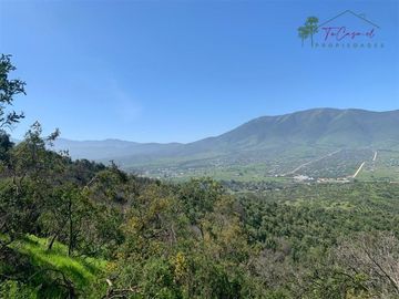 Hermosa Parcela 20 hectáreas en venta Los Hornos - Huaquén