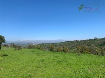 Hermosa Parcela 20 hectáreas en venta Los Hornos - Huaquén