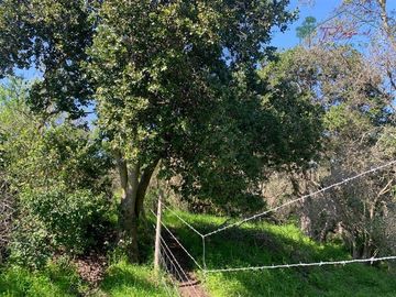 Hermosa Parcela 20 hectáreas en venta Los Hornos - Huaquén
