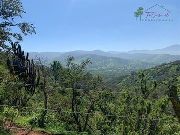Hermosa Parcela 20 hectáreas en venta Los Hornos - Huaquén