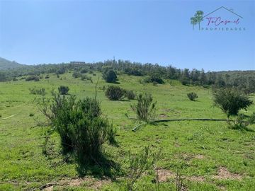 Hermosa Parcela 20 hectáreas en venta Los Hornos - Huaquén