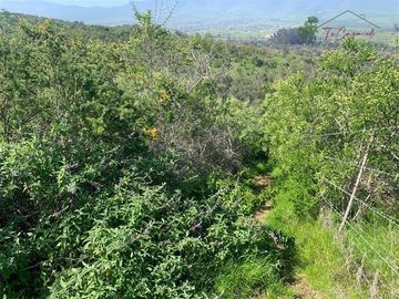 Hermosa Parcela 20 hectáreas en venta Los Hornos - Huaquén
