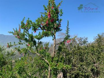 Hermosa Parcela 20 hectáreas en venta Los Hornos - Huaquén