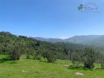 Hermosa Parcela 20 hectáreas en venta Los Hornos - Huaquén