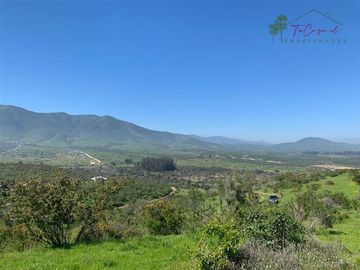 Hermosa Parcela 20 hectáreas en venta Los Hornos - Huaquén