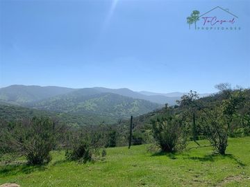 Hermosa Parcela 20 hectáreas en venta Los Hornos - Huaquén