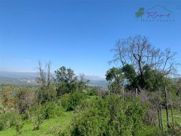 Hermosa Parcela 20 hectáreas en venta Los Hornos - Huaquén