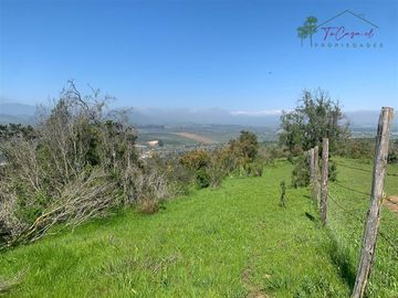 Hermosa Parcela 20 hectáreas en venta Los Hornos - Huaquén